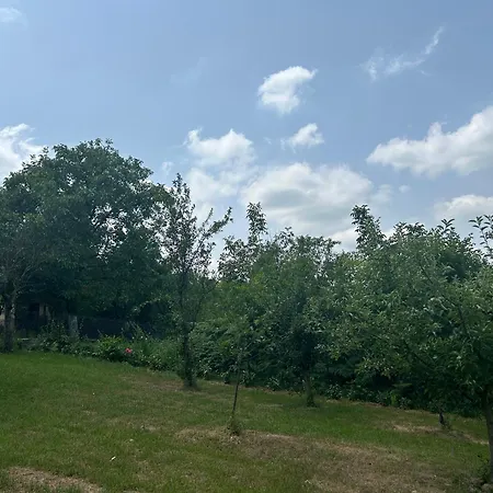 Apartment Kosmaj Ruza Vetrova Sopot