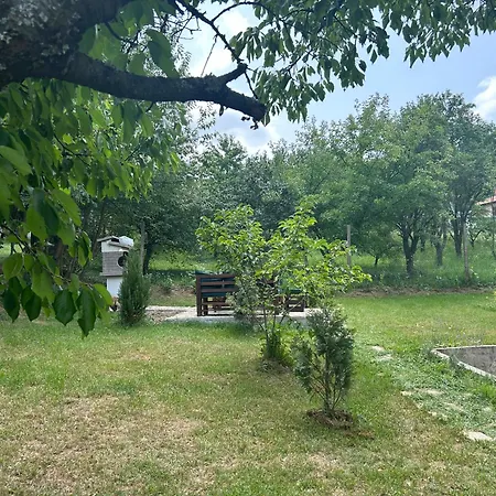 Kosmaj Ruza Vetrova Apartment